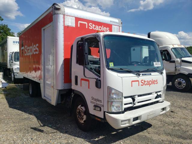 Isuzu Nqr (2013)
