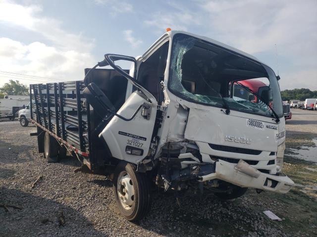 Isuzu Npr hd (2020)