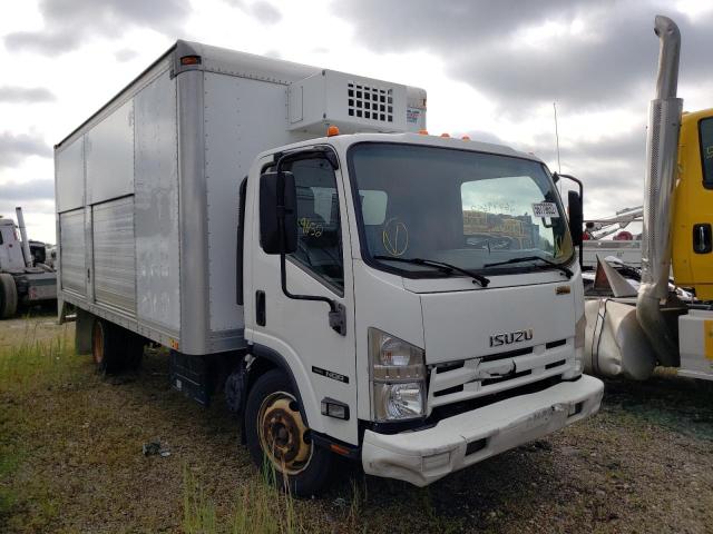 Isuzu Nqr (2013)
