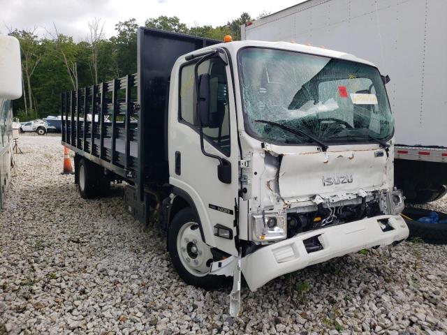 Isuzu Nqr (2022)