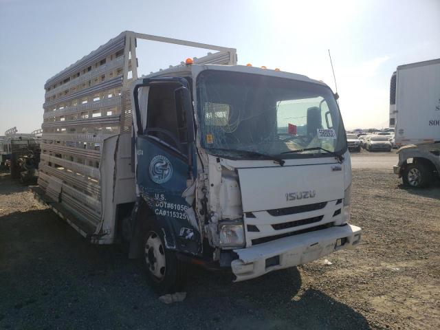 Isuzu Nqr (2016)