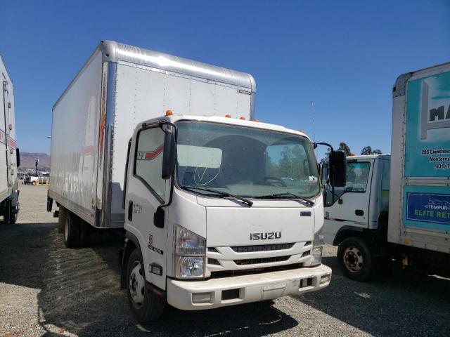 Isuzu Nqr (2021)