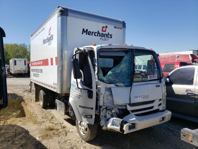Isuzu Nrr (2020)