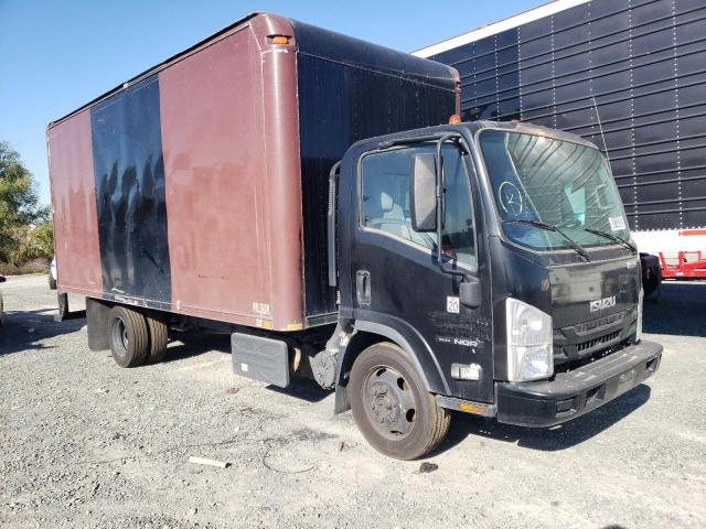 Isuzu Nqr (2018)