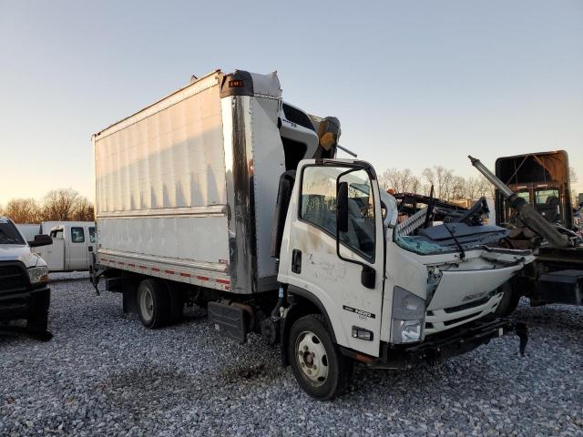 Isuzu Nqr (2021)