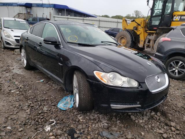 Jaguar Xf superch (2010)
