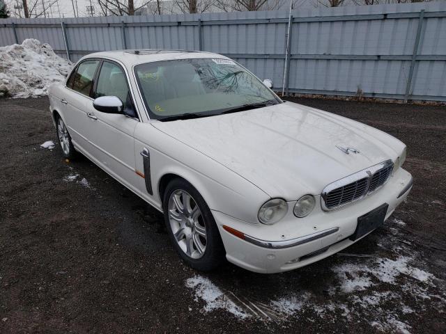 Jaguar Vandenplas (2004)