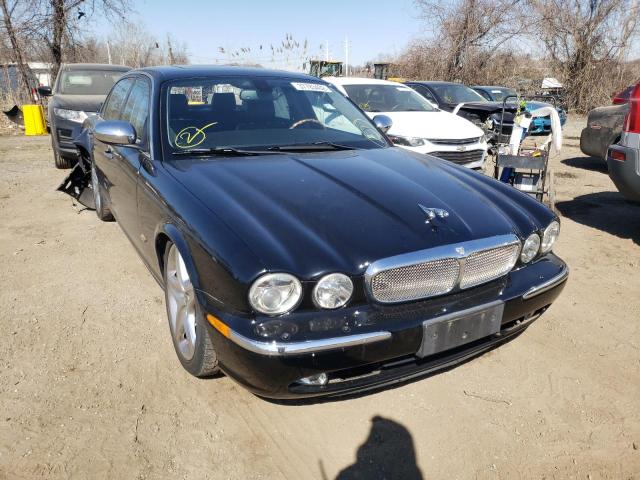 Jaguar Vandenplas (2006)