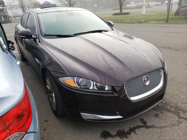 Jaguar Xf 2.0t pr (2015)
