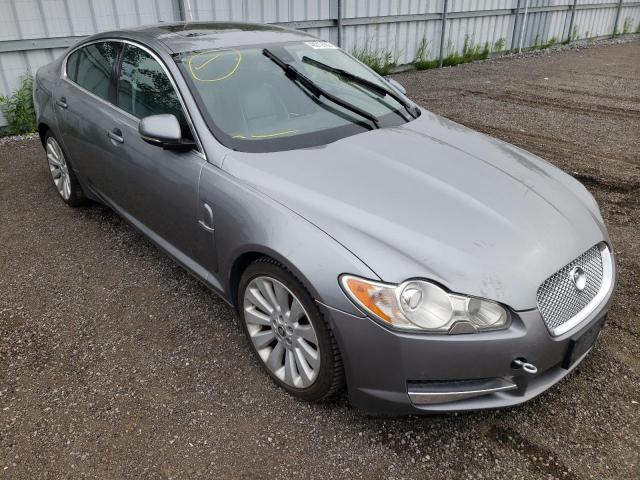 Jaguar Xf superch (2010)