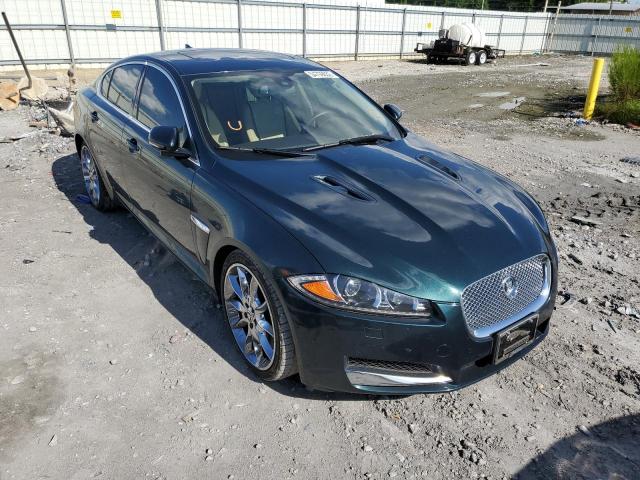 Jaguar Xf superch (2013)
