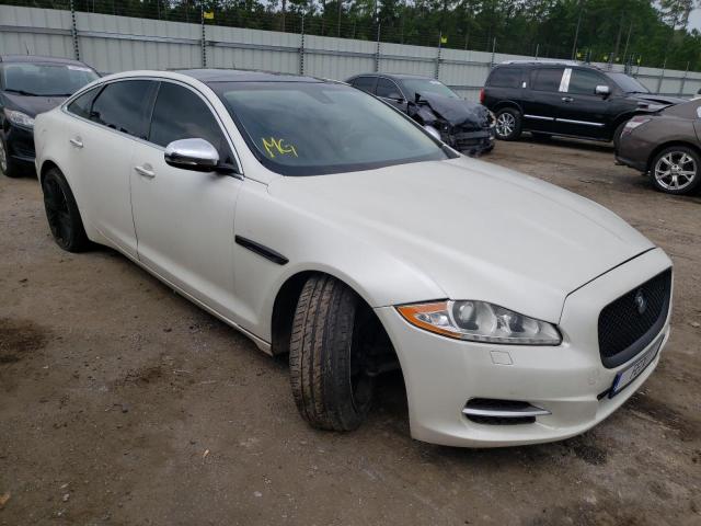 Jaguar Xjl superc (2011)