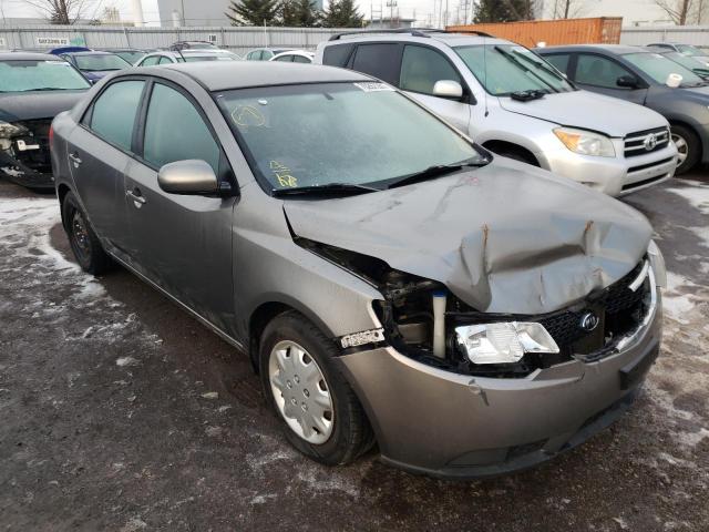 Kia Forte lx (2011)