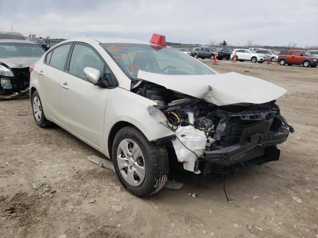 Kia Forte lx (2015)