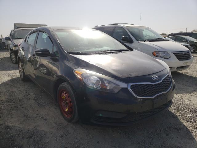 Kia Forte lx (2016)