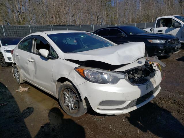 Kia Forte lx (2015)