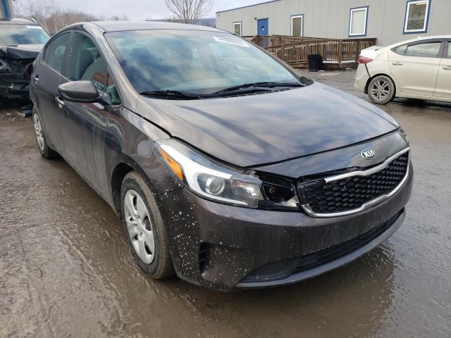 Kia Forte lx (2017)