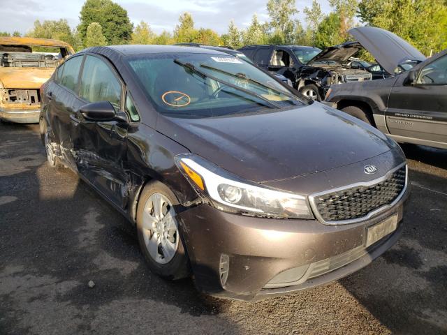 Kia Forte lx (2017)