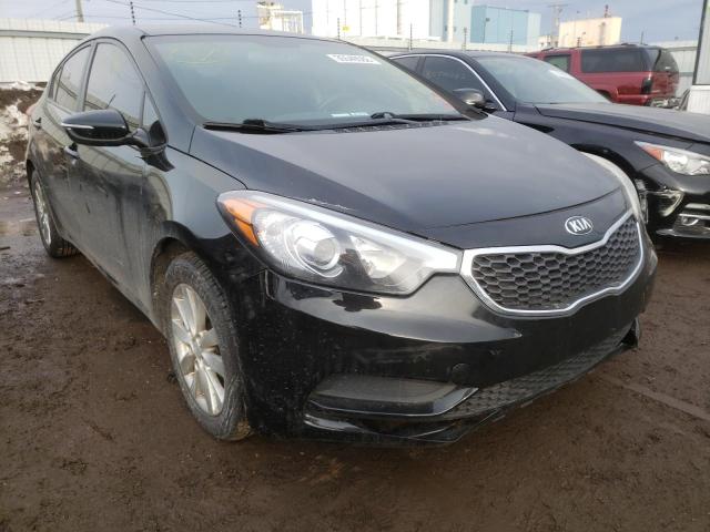 Kia Forte lx (2014)