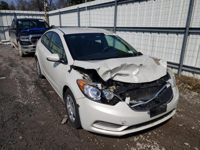 Kia Forte lx (2015)