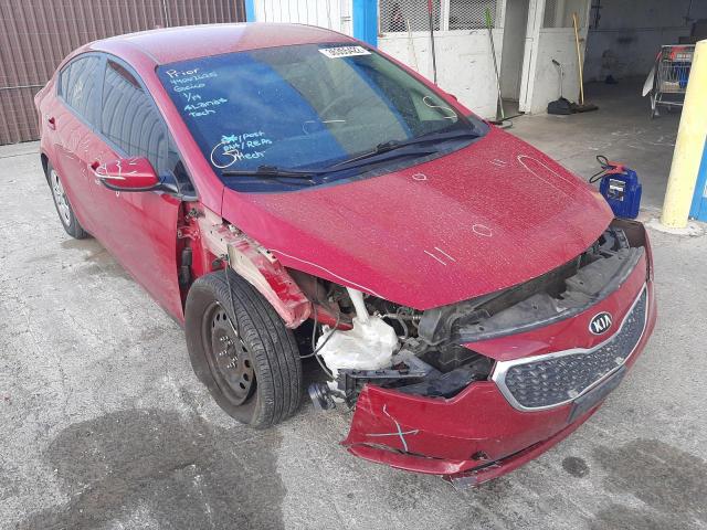 Kia Forte lx (2015)