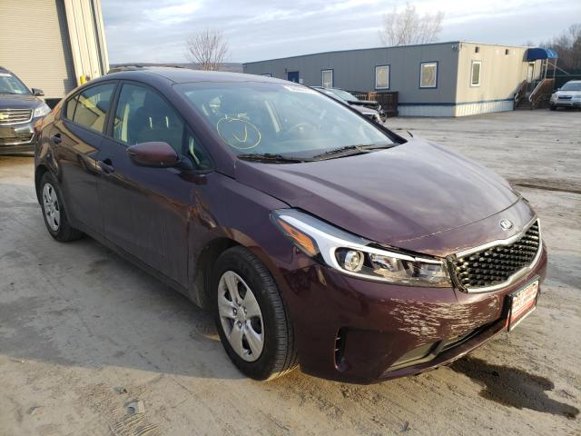 Kia Forte lx (2017)
