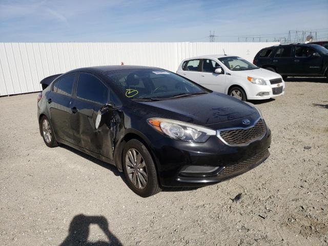 Kia Forte lx (2014)