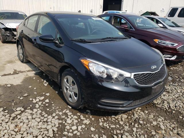 Kia Forte lx (2016)