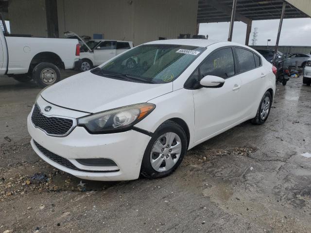 Kia Forte lx (2015)