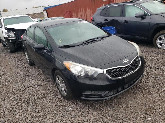 Kia Forte lx (2015)