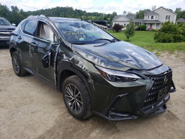 Lexus Nx 350 (2022)