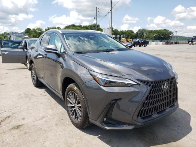 Lexus Nx 350 (2022)