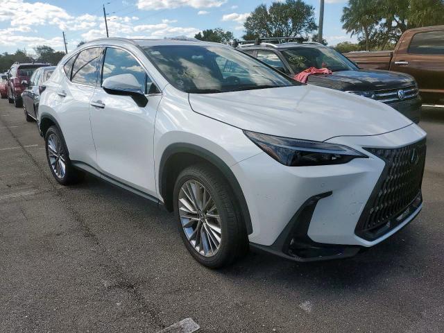 Lexus Nx 350 (2022)