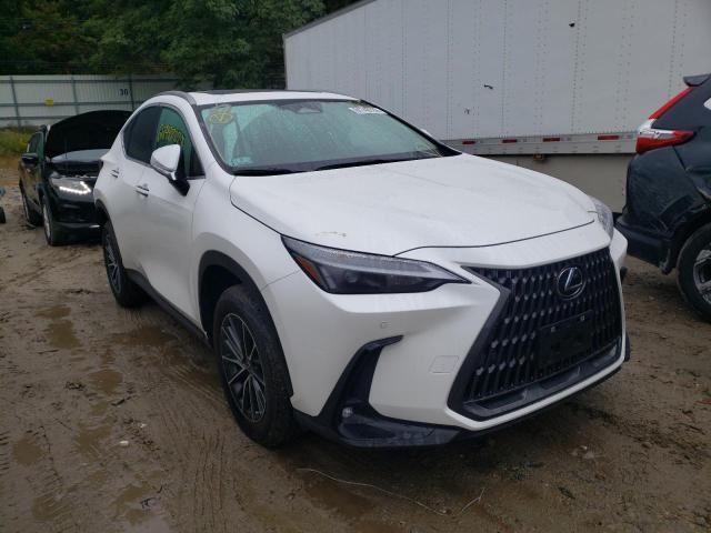 Lexus Nx 350 (2022)