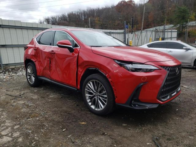 Lexus Nx 350 (2022)