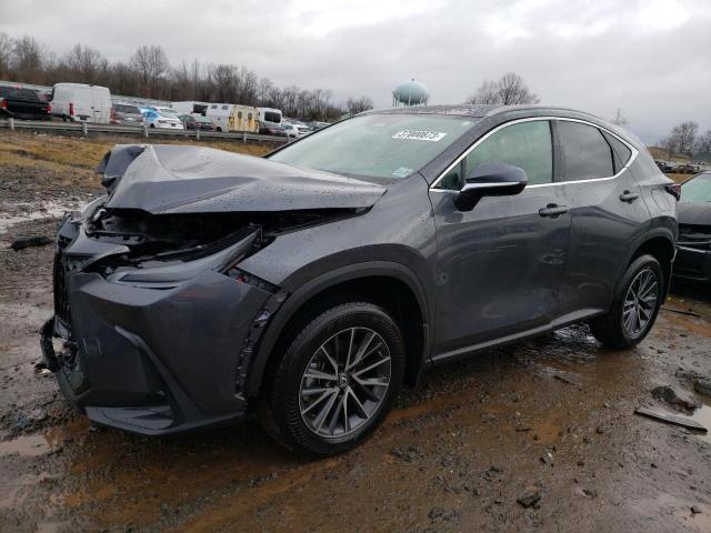 Lexus Nx 350 (2022)
