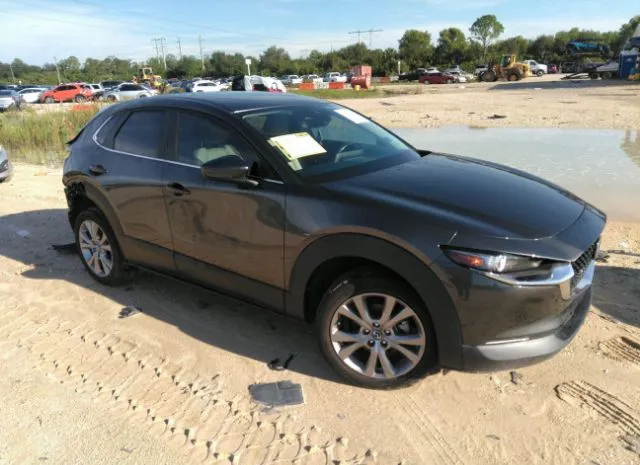 Mazda Cx-30 (2020)