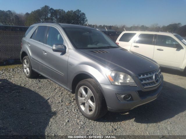Mercedes-benz M-class (2010)