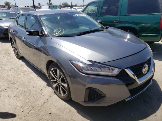Nissan Maxima sv (2021)