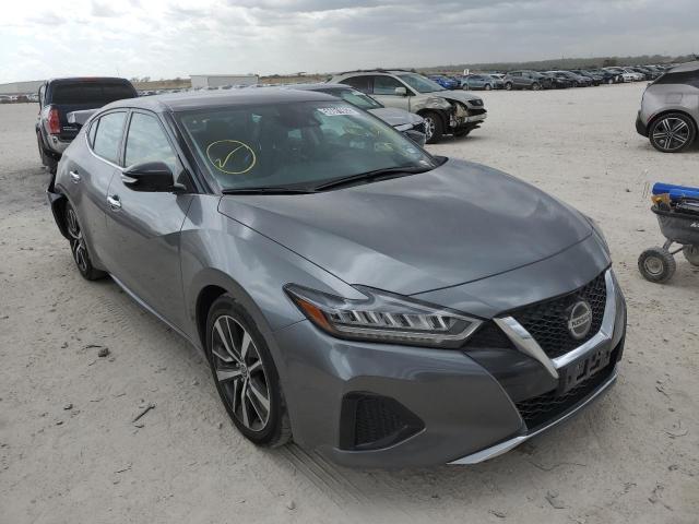 Nissan Maxima sv (2022)