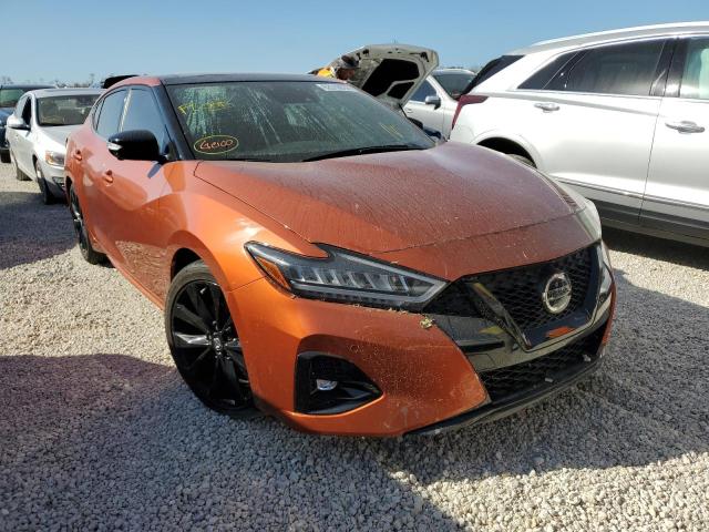 Nissan Maxima sr (2022)