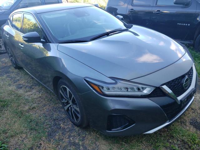 Nissan Maxima sv (2021)