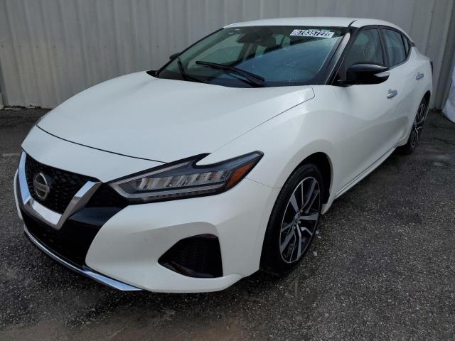 Nissan Maxima sv (2022)