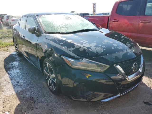 Nissan Maxima sv (2020)