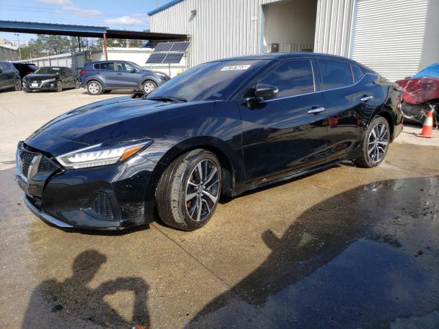 Nissan Maxima sv (2022)