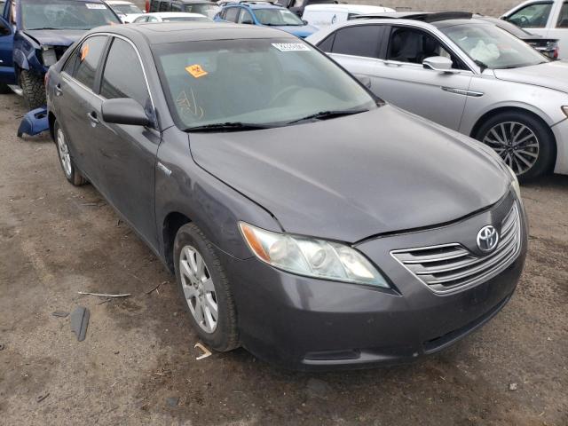 Toyota Camry hybr (2009)