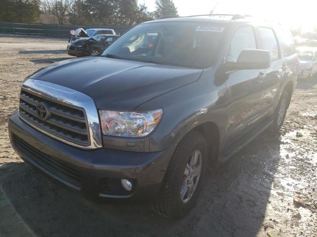 Toyota Sequoia sr (2016)