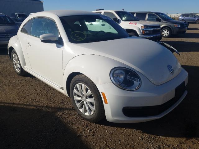 Volkswagen Beetle (2012)