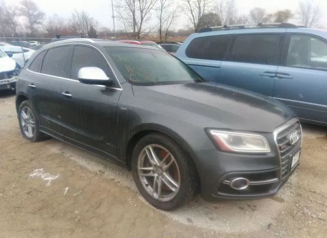 Audi Sq5 (2015)