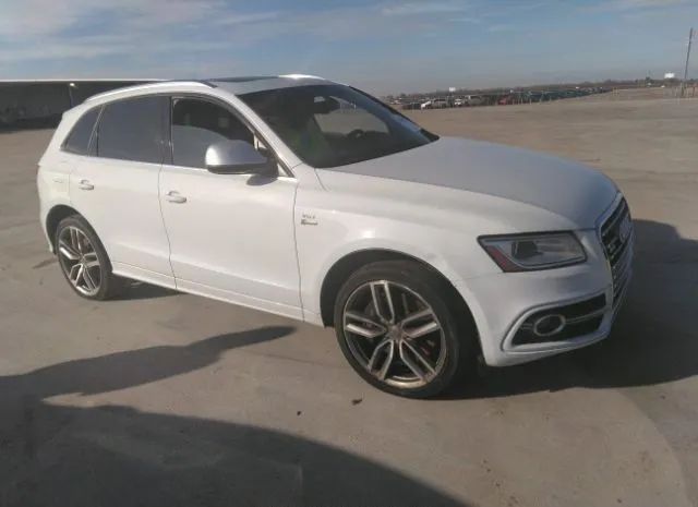 Audi Sq5 (2014)